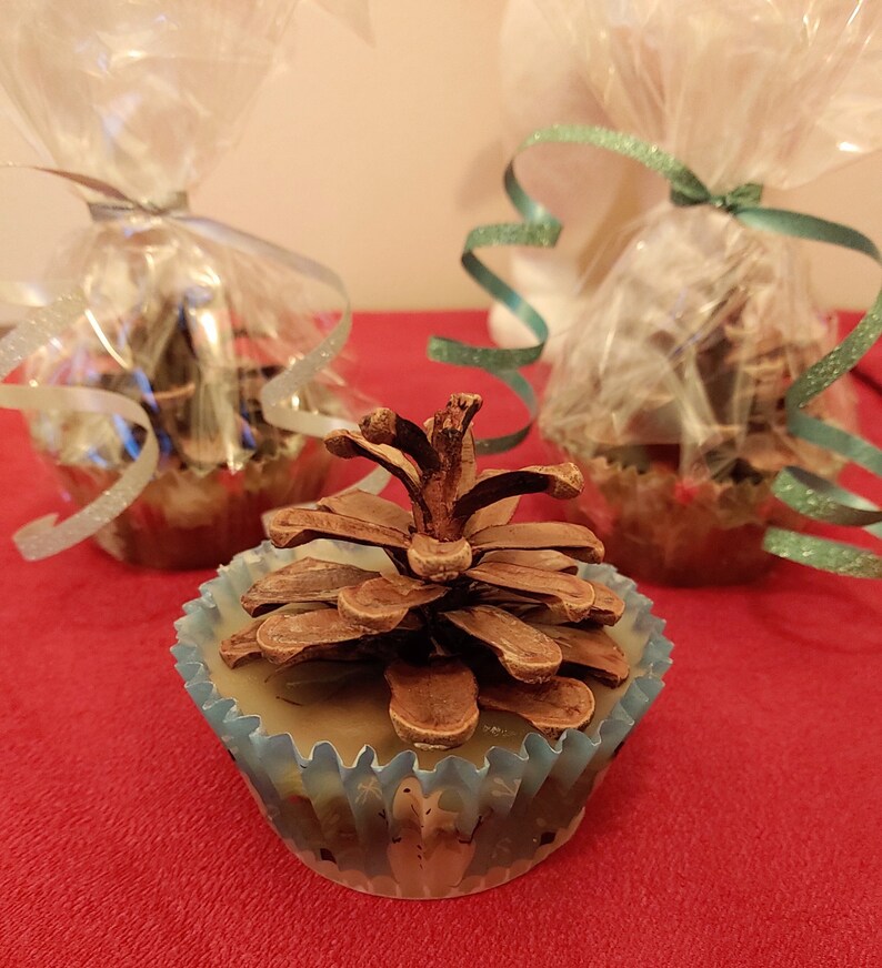 Organic Beeswax Muffin Pinecone Fire Starter