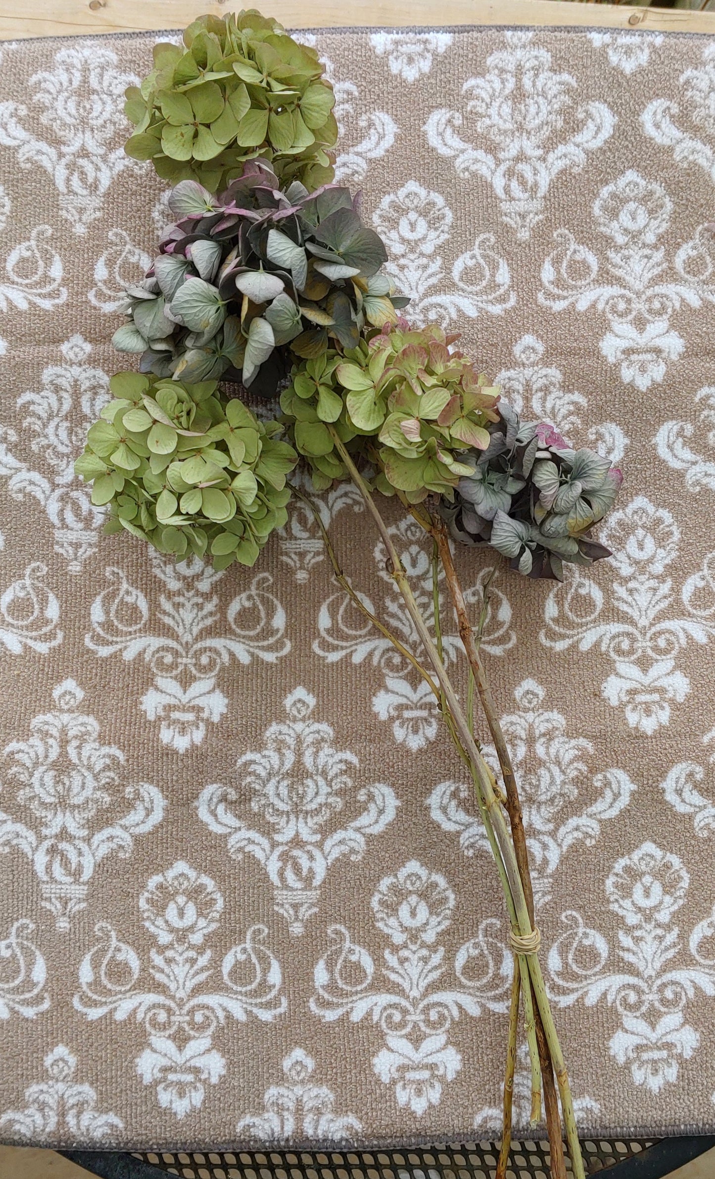 Dried Hydrangea Bunch (4 Stems)