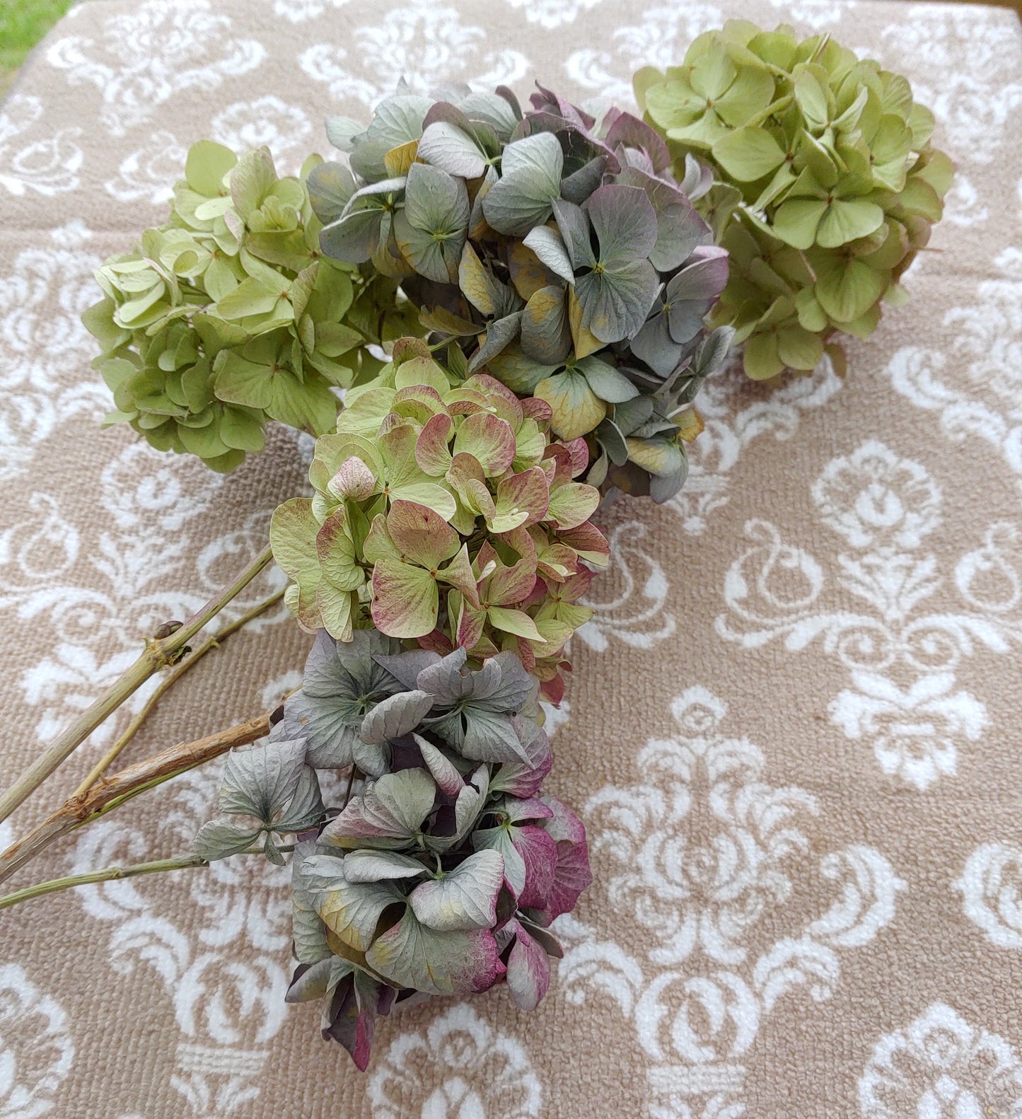 Dried Hydrangea Bunch (4 Stems)