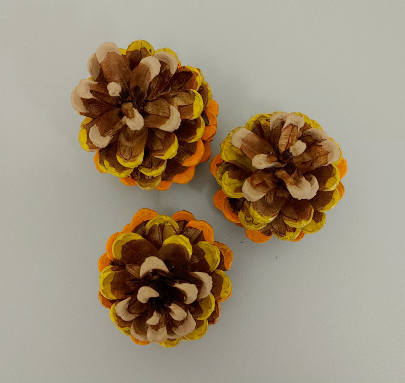 Autumn Ombre Painted Pinecones (Set of 3)