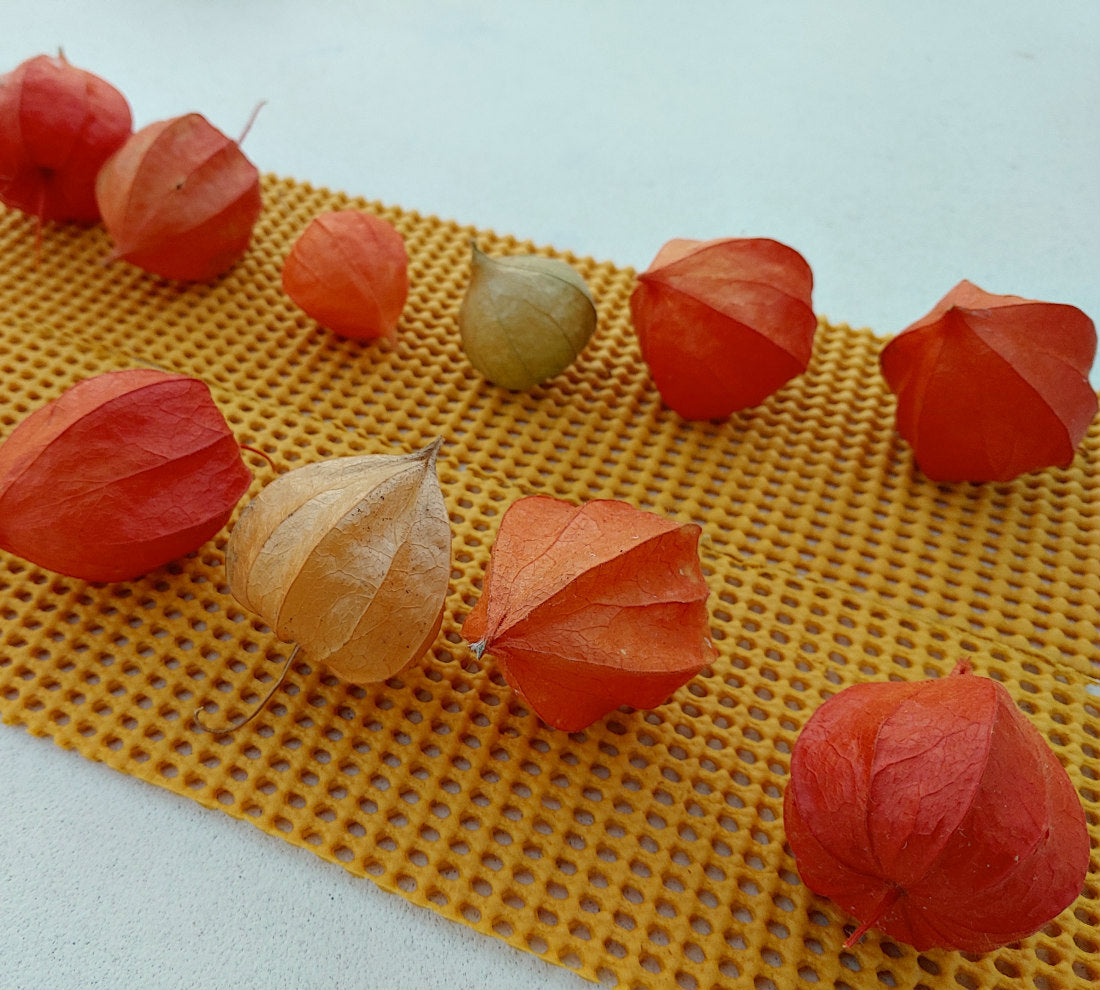 Loose Dried Chinese Lanterns (Lot of 10)