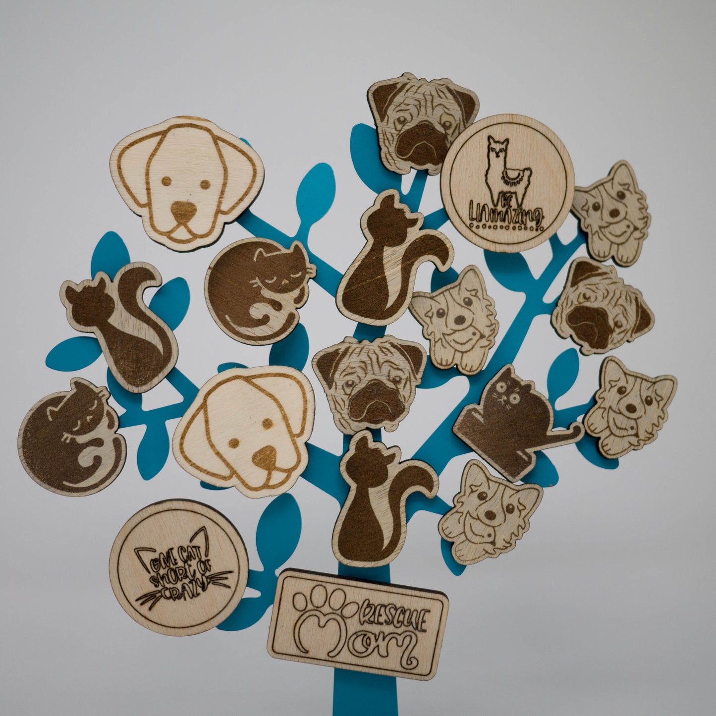 Laser Engraved Pet Magnet